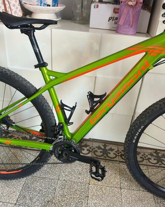 Bergamont revox ltd carbon