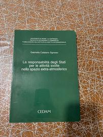 La responsabilità degli Stati per le attività