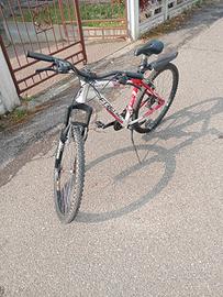Bicicletta raggio 26 
