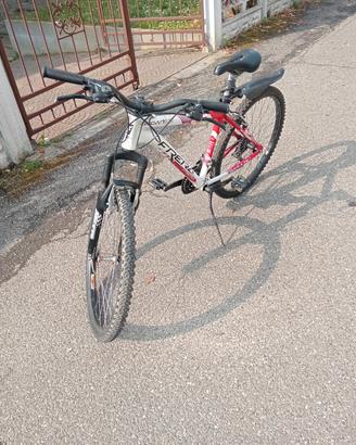 Bicicletta raggio 26 