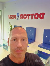 Addetto sicurezza/,vigilanza