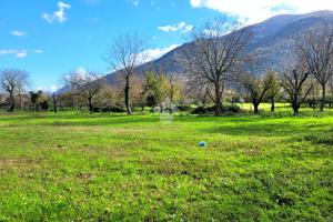 TER. AGRICOLO A AIROLA