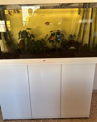 ACQUARIO