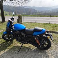 Harley Davidson street Rod 750 2017 solo 20000km