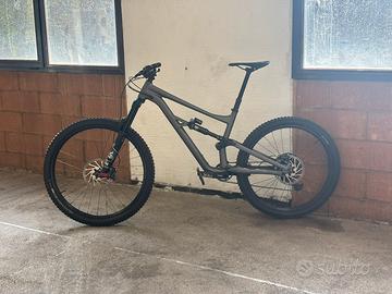 specialized STATUS