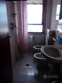 Trilocale uso transitorio