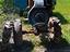Immagine 6
