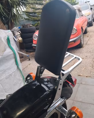 Harley Davidson schienale 