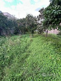 Terreno edificabile 1000mq a Giarre