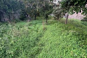 Terreno edificabile 1000mq a Giarre