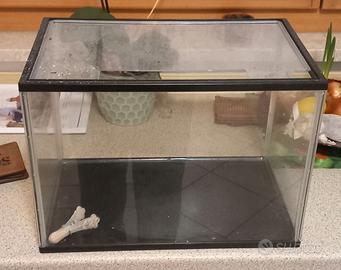 Acquario