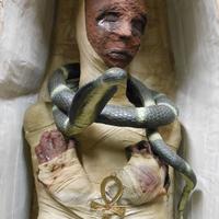 MUMMIA CON SARCOFAGO cartapesta 190CM AUTOCOSTRUIT