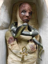 MUMMIA CON SARCOFAGO cartapesta 190CM AUTOCOSTRUIT