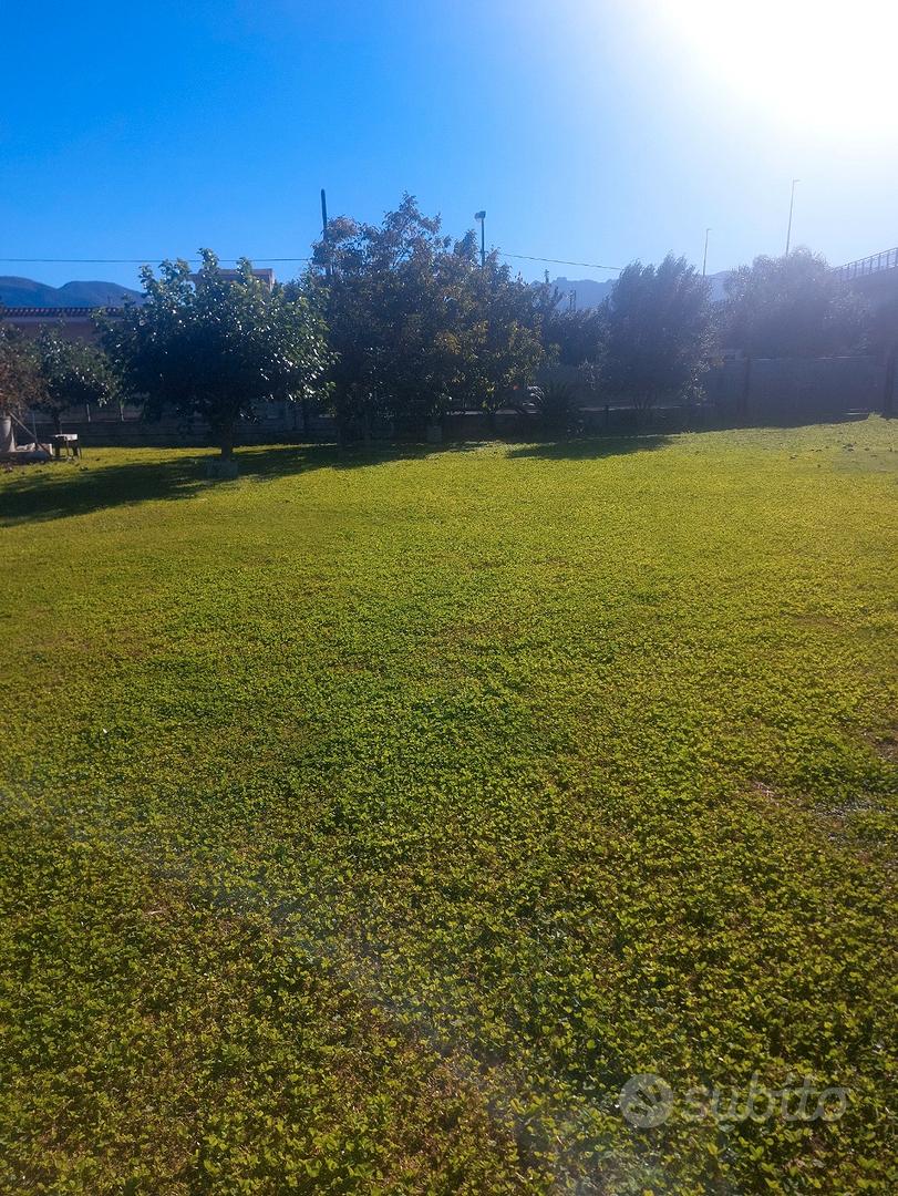Terreno 1000 mq - Vista 6