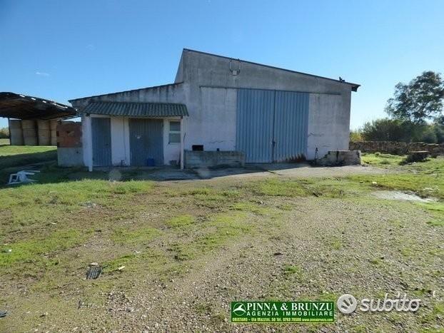 Siamaggiore terreno con capannoni agricoli