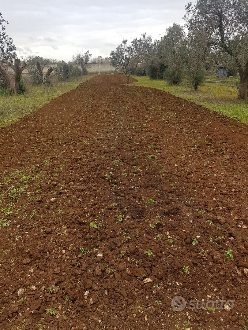Terreno 62aree - Vista 2