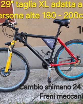 Bicicletta Tretwek MTB 29 telaio in alluminio 