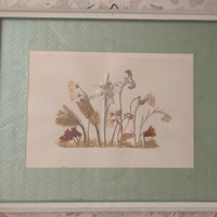 Quadro con fiori secchi