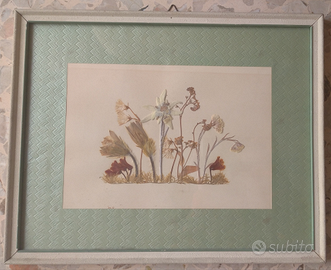 Quadro con fiori secchi