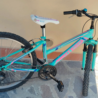 Bicicletta BUNF Galaxy 24" cambio 18v