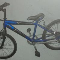 bicicletta inter bambino 