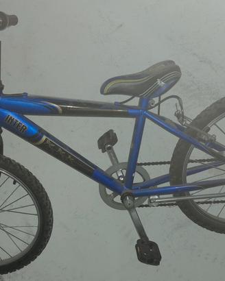 bicicletta inter bambino 