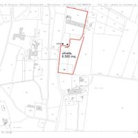 Terreno agricolo con olivi