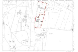 Terreno agricolo con olivi