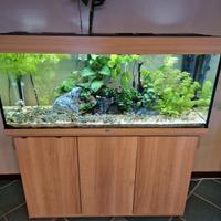 juwel rio 240 litri
