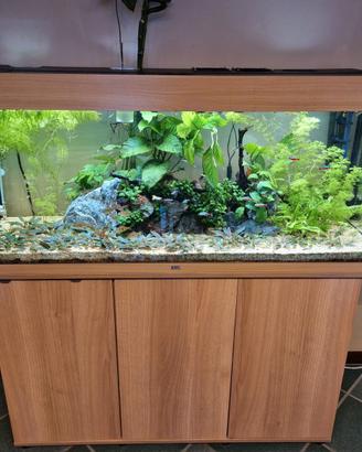 juwel rio 240 litri  + filtro oase