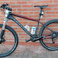 MTB carbonio
