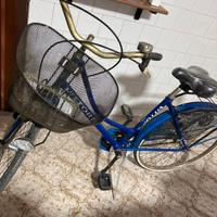 Bicicletta da passeggio