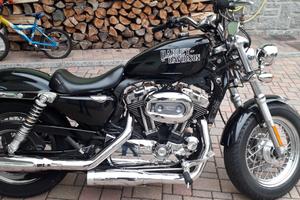 Harley sportster 1200 sissy bar