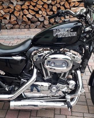 Harley sportster 1200 sissy bar