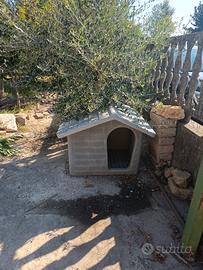 casette per cani 
