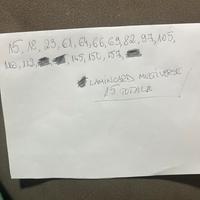 Brainrot Lamincard Multiverse