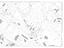 Immagine 19