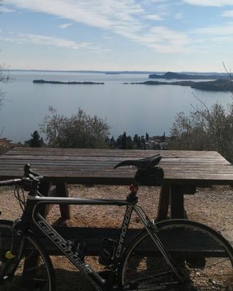 Bici da corsa cannondale