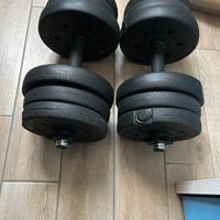 Coppia di pesi da 10 kg modulari