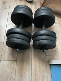 Coppia di pesi da 10 kg modulari