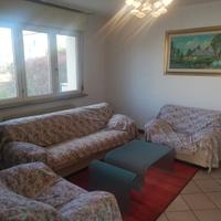 Appartamento con giardino rif. 154562MR