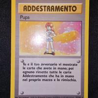 Rara Addestramento Pupa base set BS 75