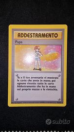 Rara Addestramento Pupa base set BS 75