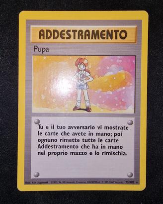 Rara Addestramento Pupa base set BS 75