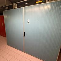 Incubatrice e schiuse