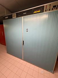 Incubatrice e schiuse