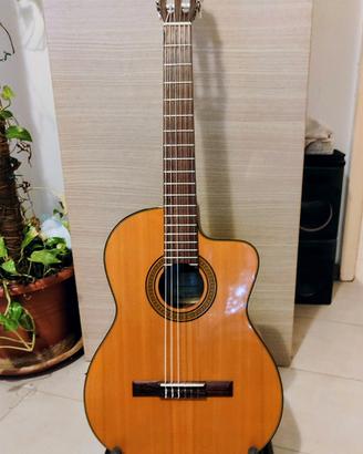takamine