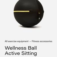 Technogym wellness ball