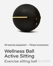 Technogym wellness ball