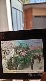 Diapositive in vetro